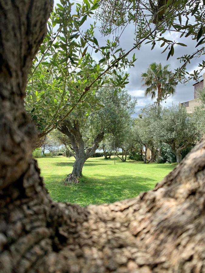 Aggelos And Thisbe Chania Suburbs Sea View Guest House Exterior photo